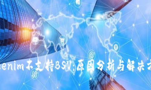 Tokenim不支持BSV：原因分析与解决方案