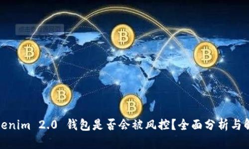 Tokenim 2.0 钱包是否会被风控？全面分析与解读