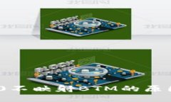 TokenIM 2.0不映射BTM的原因与解决方案