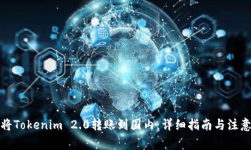 如何将Tokenim 2.0转账到国内：详细指南与注意事项