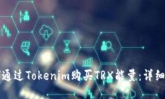 如何通过Tokenim购买TRX能量：详细指南
