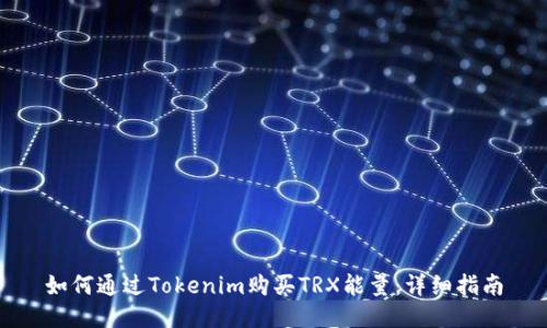 如何通过Tokenim购买TRX能量：详细指南