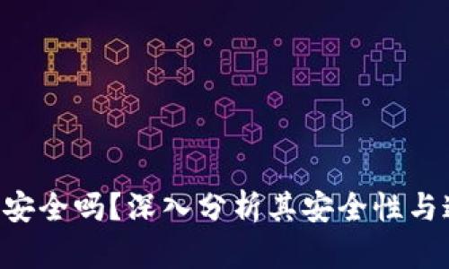 Tokenim安全吗？深入分析其安全性与追责风险