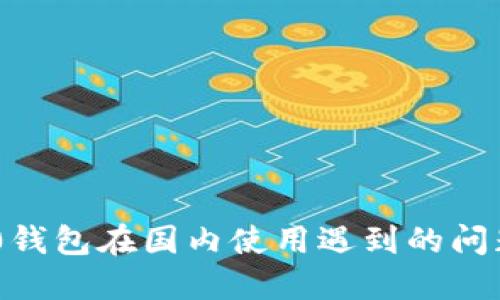 Tokenim 2.0钱包在国内使用遇到的问题及解决方案