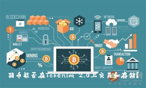 猪币能否在Tokenim 2.0上交易和存储？