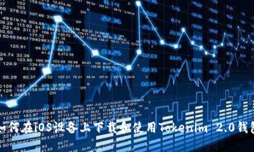 如何在iOS设备上下载和使用Tokenim 2.0钱包