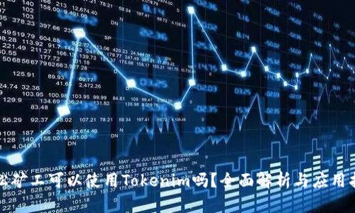轻松矿工可以使用Tokenim吗？全面解析与应用指南