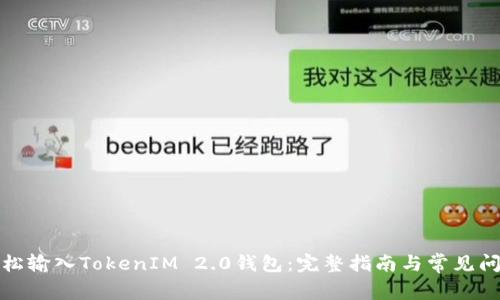 如何轻松输入TokenIM 2.0钱包：完整指南与常见问题解答