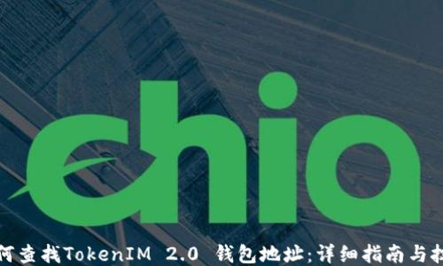 
如何查找TokenIM 2.0 钱包地址：详细指南与技巧