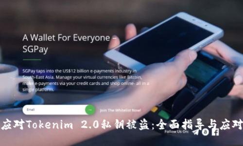 如何应对Tokenim 2.0私钥被盗：全面指导与应对措施