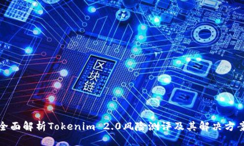 全面解析Tokenim 2.0风险测评及其解决方案