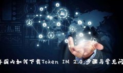 2018年国内如何下载Token IM 2.0：步骤与常见问题详