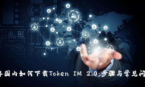 2018年国内如何下载Token IM 2.0：步骤与常见问题详解