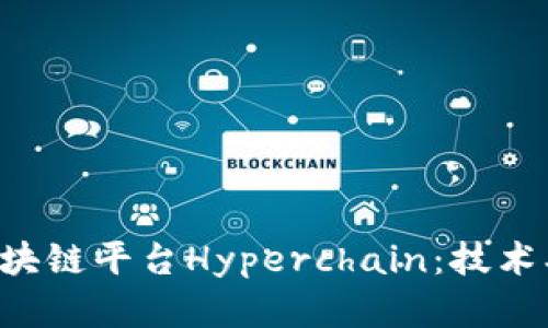 深入了解趣链区块链平台Hyperchain：技术、应用与发展前景