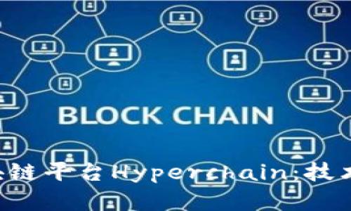 深入了解趣链区块链平台Hyperchain：技术、应用与发展前景