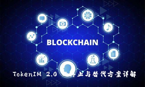  TokenIM 2.0 的终止与替代方案详解