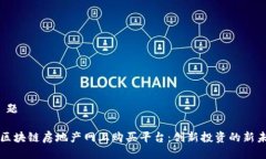 标 题  区块链房地产网上购买平台：创新投资的