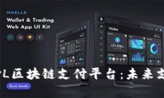 全面解析微领vL区块链支付平台：未来支付的创新