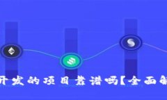 Tokenim 2.0开发的项目靠谱吗？全面解析与前景展望