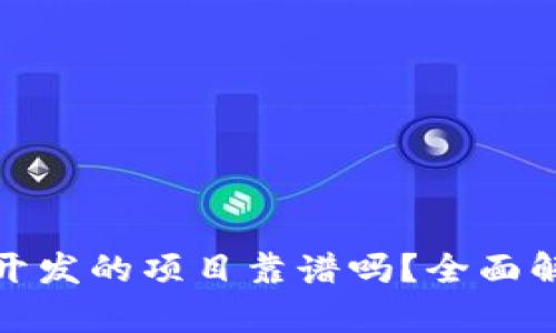 Tokenim 2.0开发的项目靠谱吗？全面解析与前景展望